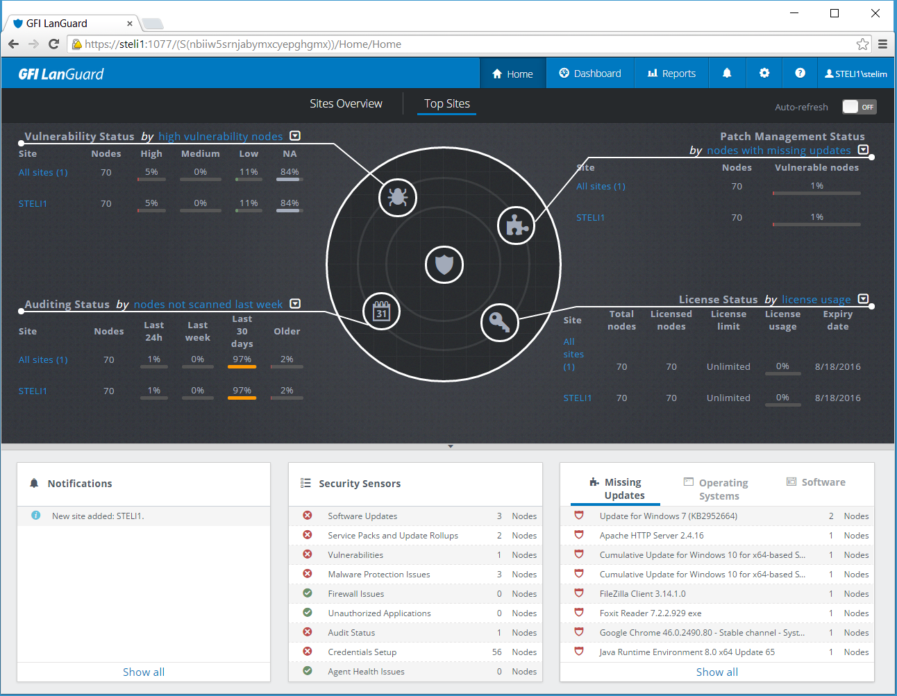 GFI LanGuard 12 Web Console Top Sites